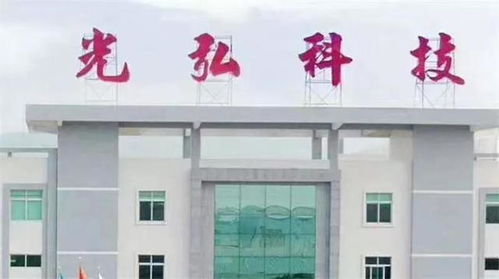 探访惠州大亚湾 禾里电力科技，机遇涌动的新起点